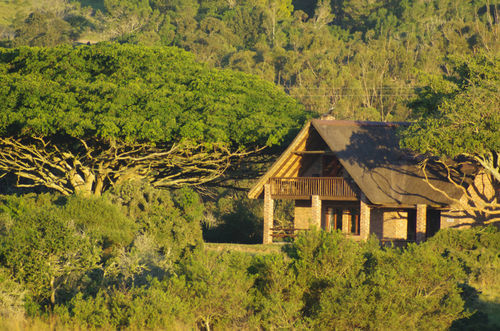 Kragga Kamma Game Park Hotel Port Elizabeth Bagian luar foto