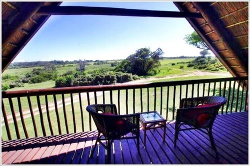 Kragga Kamma Game Park Hotel Port Elizabeth Bagian luar foto
