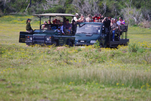 Kragga Kamma Game Park Hotel Port Elizabeth Bagian luar foto