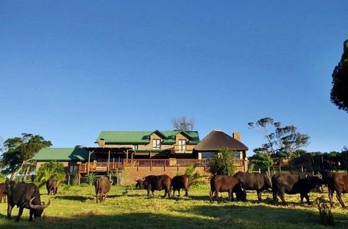 Kragga Kamma Game Park Hotel Port Elizabeth Bagian luar foto