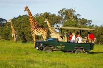 Kragga Kamma Game Park Hotel Port Elizabeth Bagian luar foto